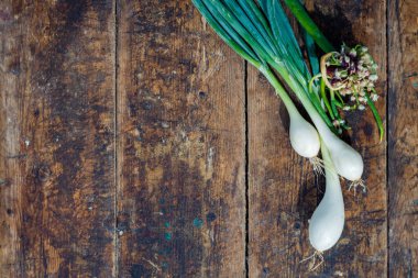 Tahta tahtada taze soğan, soğan tohumu ve tohum başı, beyaz ve sarı, konsept, üst görünüm