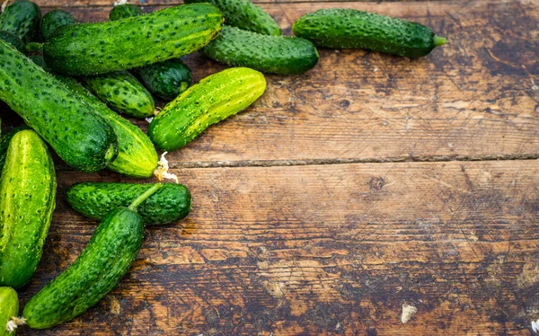 Fresh cucumber on rustic wooden background. Cucumbers are low in calories but high in many important vitamins and minerals  lose weight. leaves and flower