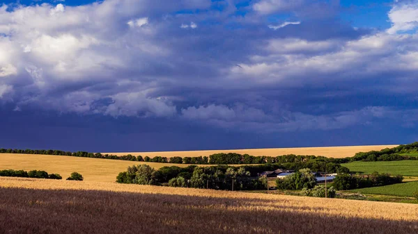 Güzel doğa gün batımı manzarası. Ülkedeki tarlalar arasındaki kirli yol. Vadi kırsal alanı, Tipik Moldova yeşil tarım ülkesi Moldova Cumhuriyeti, buğday, mısır tarlası