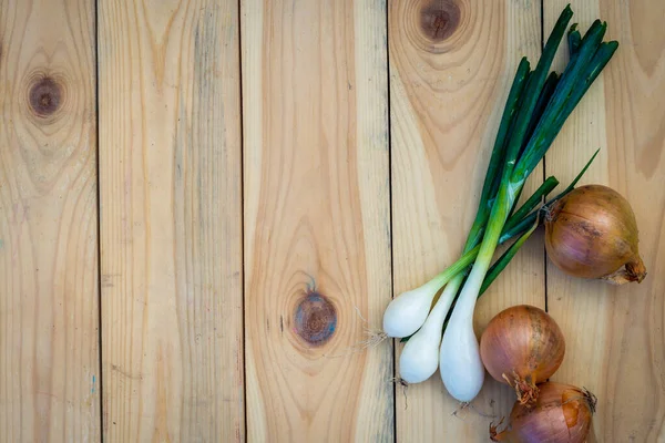 Bunch Spring Onions Old Board Wood Onion Seeds Seed Head — Stock Photo, Image
