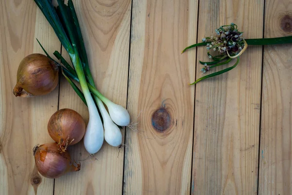 bunch of spring onions on  old board wood, Onion seeds and seed head,  white and yellow , concept, top view