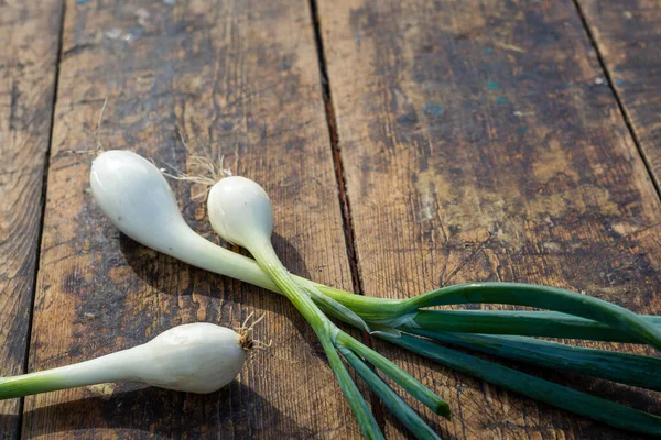 Bosje Lente Uien Oud Bordhout Uienpitten Zaadkop Wit Geel Concept — Stockfoto