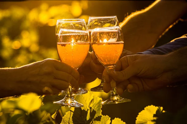 Toasting with two glasses of Champagne in the vineyard, Toasting with four glasses of Champagne in the vineyard, at sunset, rose, Silhouette, Cropped Hands, raise a toast, Cheers, rural, peasantry