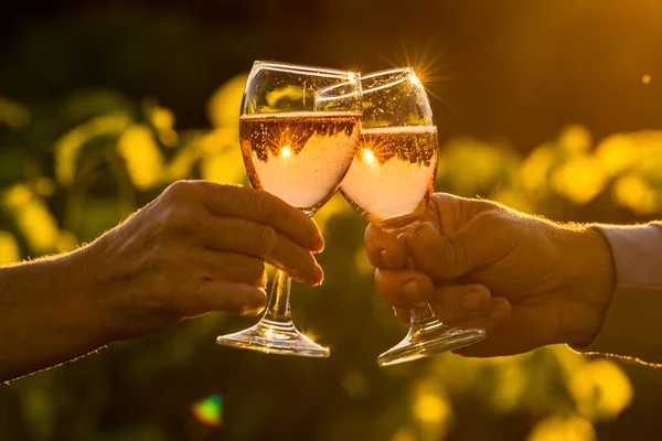 Toasting with two glasses of Champagne in the vineyard, Toasting with four glasses of Champagne in the vineyard, at sunset, rose, Silhouette, Cropped Hands, raise a toast, Cheers, rural, peasantry