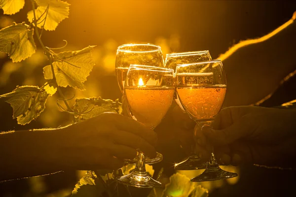 Toasting Two Glasses Champagne Vineyard Toasting Four Glasses Champagne Vineyard — Stock Photo, Image