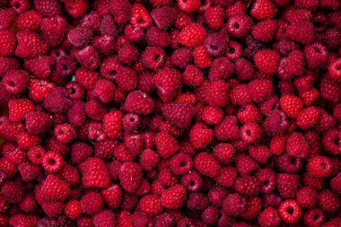 Tatlı ahududu, meyve arkaplan dokusu kırmızı desenli üst görünüm Rubus idaeus,