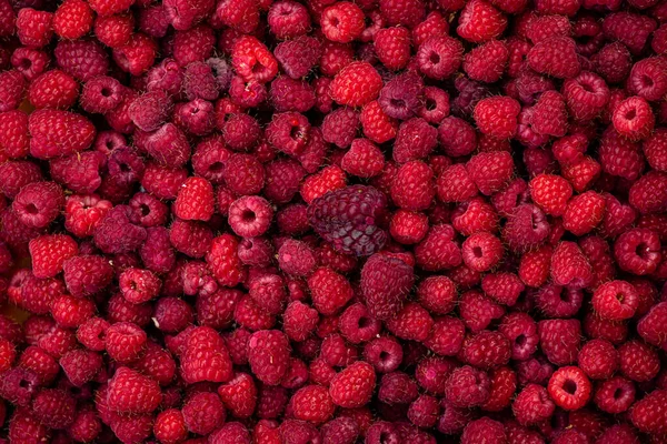 Sweet Raspberry Fruit Background Texture Red Pattern Top View Rubus — Stockfoto