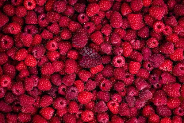 Süße Himbeere Frucht Hintergrund Textur Rotes Muster Draufsicht Rubus Idaeus — Stockfoto