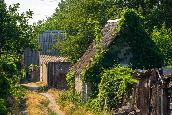 an abandoned wood old house, the destruction of abandoned houses after the crisis, desolation ruin, an old village house Among trees In the Forest deposit climbing plants overgrown building  leaky roof. building among Devastation