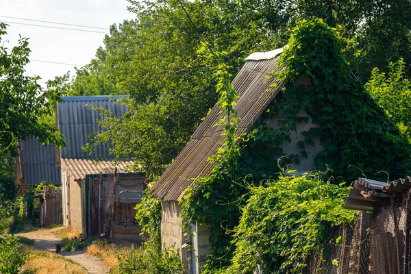 abandoned wood old house, the destruction abandoned houses crisis, desolation ruin, an old village house Among tree deposit climbing plants overgrown building  leaky roof.