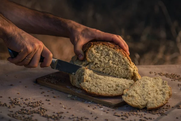 Fresh Baked Bread Homemade Sourdough Close Shot Bread Sackcloth Loaves — Photo