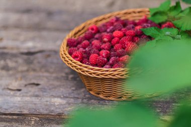Taze organik olgun ahududu ahşap masa örülmüş sepet meyvesi,