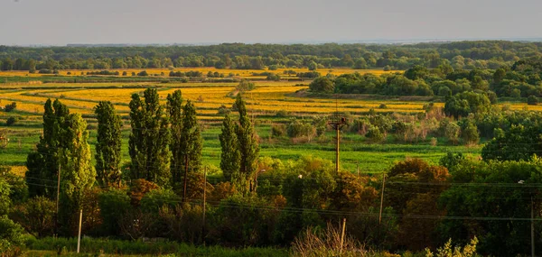 Beautiful Rural Sunrise Landscape Morning Panorama Old Cannery Does Work — Stockfoto