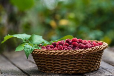 Taze organik olgun ahududu ahşap masa örülmüş sepet meyvesi,