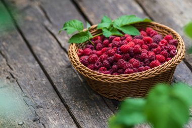 Taze organik olgun ahududu ahşap masa örülmüş sepet meyvesi,