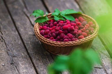 Taze organik olgun ahududu ahşap masa örülmüş sepet.