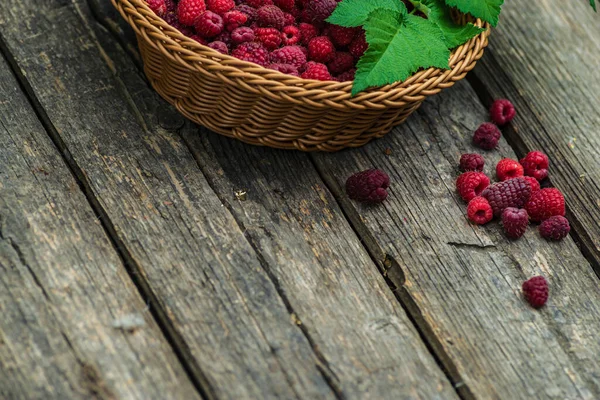Fresh Organic Ripe Raspberry Wood Table Background Woven Basket Fruit — Stockfoto