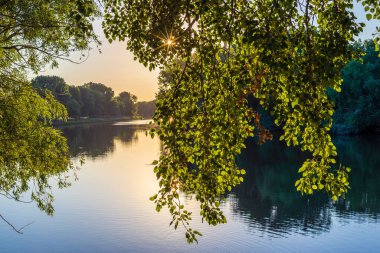 Nehir kenarındaki çayırda güneşli bir yaz sabahı. Manzaralı kırsal alan. Yeşil arka plan. Orman sisli sabah sisi söğüt ağacı kırsal bölge güzel Dinyester (Nistru) Ulusal Parkı Moldova