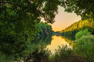 Nehir kenarındaki çayırda güneşli bir yaz sabahı. Manzaralı kırsal alan. Yeşil arka plan. Orman sisli sabah sisi söğüt ağacı kırsal bölge güzel Dinyester (Nistru) Ulusal Parkı Moldova