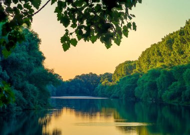 Nehir kenarındaki çayırda güneşli bir yaz sabahı. Manzaralı kırsal alan. Yeşil arka plan. Orman sisli sabah sisi söğüt ağacı kırsal bölge güzel Dinyester (Nistru) Ulusal Park Moldova bayrağı.