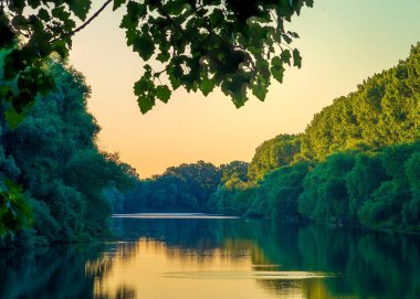 Sunny summer morning on meadow near river. Scenic rural landscape.Green  background. forest misty morning fog willow birch tree Countryside beautiful Dniester (Nistru) National Park Moldova banner.