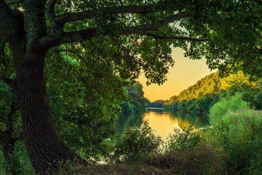 Sunny summer morning on meadow near river. Scenic rural landscape.Green  background. forest misty morning fog willow birch tree Countryside beautiful Dniester (Nistru) National Park Moldova