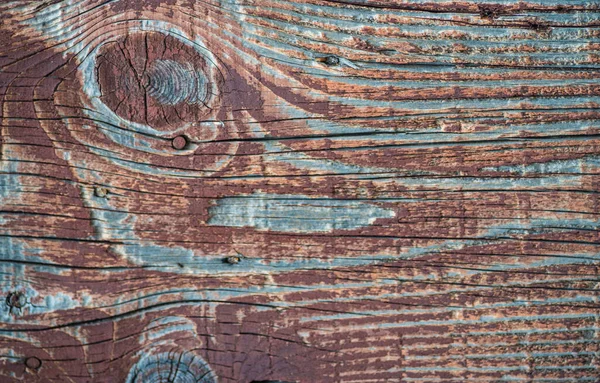 Rustic Brown Weathered Wood Grain wood planks background  blue-green painted old texture vintage knots and nail holes Rustic Weathered, flaked paint exfoliate Fence beautiful