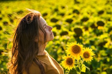 Sarı ayçiçeği tarlalarındaki kız yüzünde bir ayçiçeğiyle gülüyor.