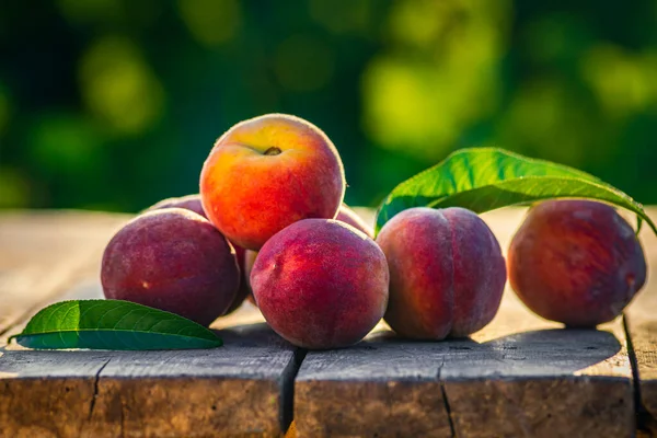 Group fresh peaches wood TABLE green natural background, (Prunus persica)  Harvest for food Delicious outdoors sunny day, Fresh ripe leaf, summer sunny garden juicy organic  sweet fruit, vegan food sunrise