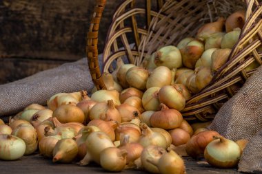 Tahta masada taze kırmızı soğan, üst görünüm, organik gıda kahverengi dilimler, hasır sepetin dışındaki sade ham kesim tahtası Ampul Gıda yerel çiftçi marketini içeriyor