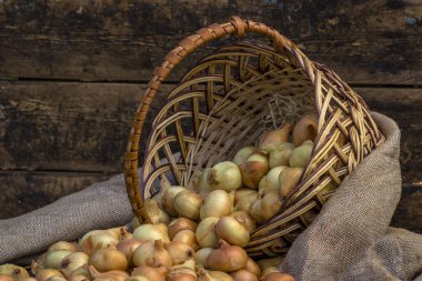 Tahta masada taze kırmızı soğan, üst görünüm, organik gıda kahverengi dilimler, hasır sepetin dışındaki sade ham kesim tahtası Ampul Gıda yerel çiftçi marketini içeriyor