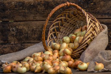 Tahta masada taze kırmızı soğan, üst görünüm, organik gıda kahverengi dilimler, hasır sepetin dışındaki sade ham kesim tahtası Ampul Gıda yerel çiftçi marketini içeriyor