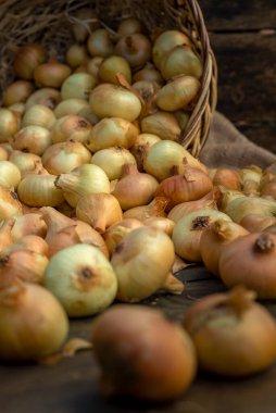 Tahta masada taze kırmızı soğan, üst görünüm, organik gıda kahverengi dilimler, hasır sepetin dışındaki sade ham kesim tahtası Ampul Gıda yerel çiftçi marketini içeriyor