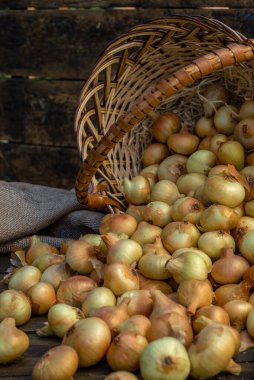 Fresh Red onion in basket on wooden table, top view, Organic food brown slices, still life rustic  raw cutting board outside wicker basket Bulb Food Ingredients local farmers market store