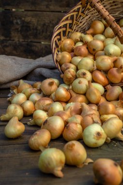 Tahta masada taze kırmızı soğan, üst görünüm, organik gıda kahverengi dilimler, hasır sepetin dışındaki sade ham kesim tahtası Ampul Gıda yerel çiftçi marketini içeriyor