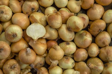 Tahta masada taze kırmızı soğan, üst görünüm, organik gıda kahverengi dilimler, hasır sepetin dışındaki sade ham kesim tahtası Ampul Gıda yerel çiftçi marketini içeriyor