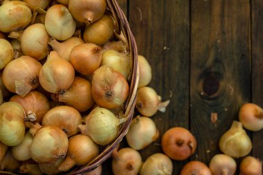 Tahta masada taze kırmızı soğan, üst görünüm, organik gıda kahverengi dilimler, hasır sepetin dışındaki sade ham kesim tahtası Ampul Gıda yerel çiftçi marketini içeriyor