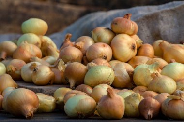 Tahta masada taze kırmızı soğan, üst görünüm, organik gıda kahverengi dilimler, hasır sepetin dışındaki sade ham kesim tahtası Ampul Gıda yerel çiftçi marketini içeriyor