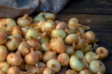 Tahta masada taze kırmızı soğan, üst görünüm, organik gıda kahverengi dilimler, hasır sepetin dışındaki sade ham kesim tahtası Ampul Gıda yerel çiftçi marketini içeriyor