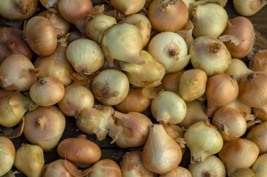 Tahta masada taze kırmızı soğan, üst görünüm, organik gıda kahverengi dilimler, hasır sepetin dışındaki sade ham kesim tahtası Ampul Gıda yerel çiftçi marketini içeriyor