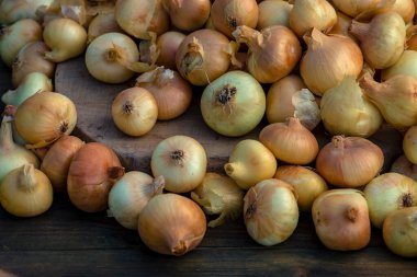 Tahta masada taze kırmızı soğan, üst görünüm, organik gıda kahverengi dilimler, hasır sepetin dışındaki sade ham kesim tahtası Ampul Gıda yerel çiftçi marketini içeriyor