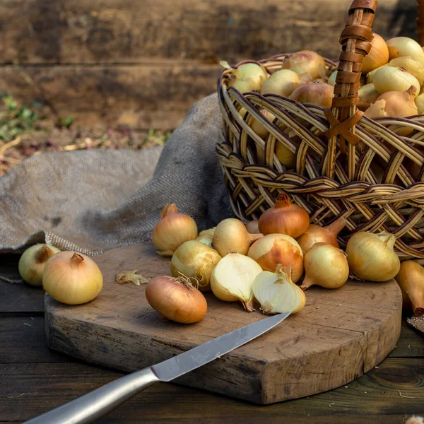 Tahta masada taze kırmızı soğan, üst görünüm, organik gıda kahverengi dilimler, hasır sepetin dışındaki sade ham kesim tahtası Ampul Gıda yerel çiftçi marketini içeriyor