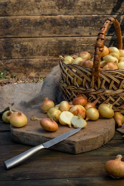 Tahta masada taze kırmızı soğan, üst görünüm, organik gıda kahverengi dilimler, hasır sepetin dışındaki sade ham kesim tahtası Ampul Gıda yerel çiftçi marketini içeriyor