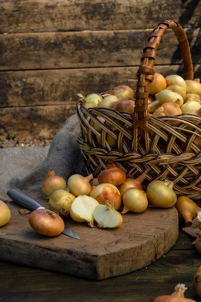Tahta masada taze kırmızı soğan, üst görünüm, organik gıda kahverengi dilimler, hasır sepetin dışındaki sade ham kesim tahtası Ampul Gıda yerel çiftçi marketini içeriyor