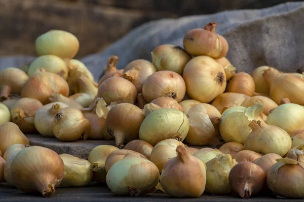 Tahta masada taze kırmızı soğan, üst görünüm, organik gıda kahverengi dilimler, hasır sepetin dışındaki sade ham kesim tahtası Ampul Gıda yerel çiftçi marketini içeriyor