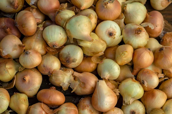 Tahta masada taze kırmızı soğan, üst görünüm, organik gıda kahverengi dilimler, hasır sepetin dışındaki sade ham kesim tahtası Ampul Gıda yerel çiftçi marketini içeriyor