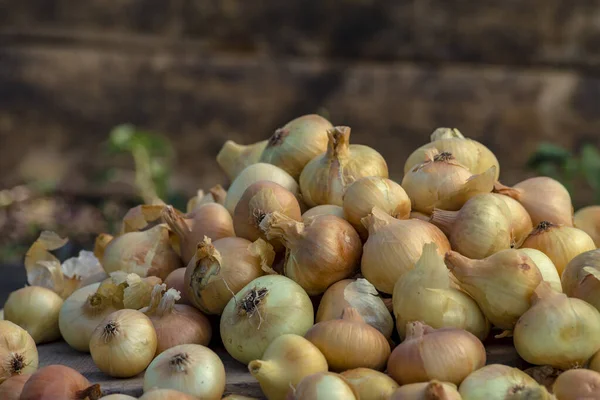 Tahta masada taze kırmızı soğan, üst görünüm, organik gıda kahverengi dilimler, hasır sepetin dışındaki sade ham kesim tahtası Ampul Gıda yerel çiftçi marketini içeriyor