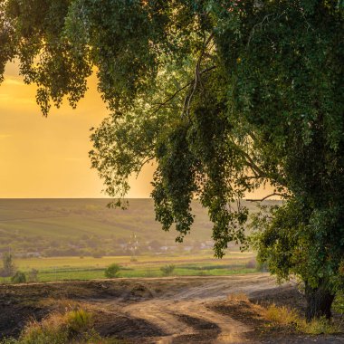 Beautiful nature sunset landscape. fields country. valley countryside, Olanesti Moldova, warm silent, dirt road poplar tree sunset rural yellow sky Mesmerizing scenery fall autumn