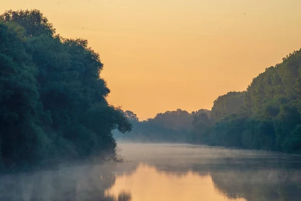 Early Morning River Fog Trees Sunlight Mist Water Olanesti Moldova — Stock Fotó