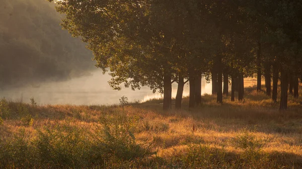 Early Morning River Fog Trees Sunlight Mist Water Olanesti Moldova — Photo